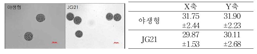 야생형, JG21 들잔디의 화분의 형태 및 크기 비교. 두 들잔디의 화분은 구형으로 크기도 동일함.