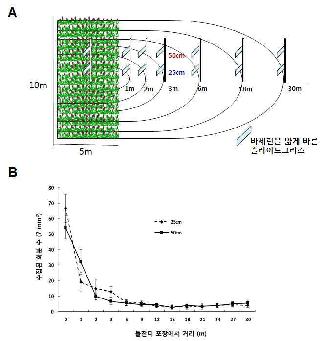 들잔디 화분의 비산 거리 측정을 위한 시험모형(A)과 들잔디 화분의 비산거리(B)2 조사. 화분공급 들잔디 포장의 크기: 5 x 10 m2. 지면에서 25cm와 50cm에서 조사한 결과의 그래프임. 풍속은 제주지방 기상관측소에서 제공된 자료를 인용하였음.