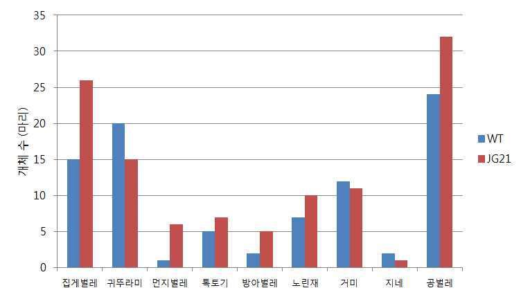 잔디재배포장에서 생존하는 지표성 생물의 분포 비교 (8월-10월). 야생형과 JG21 들잔디 포장의 곤충상은 유사한 것으로 조사되었음