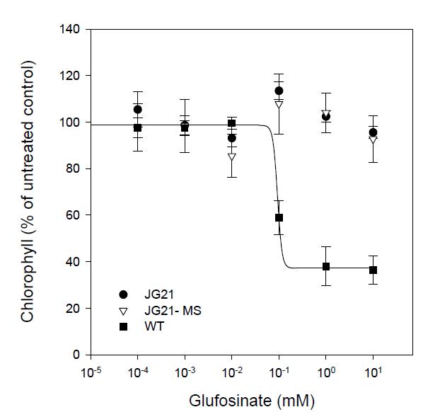 Dose-response of JG21, JG21-MS and wild type of zoysiagrass to glufosinate. Data were analyzed using the log-logistic equation. Vertical bars represent 95% confidence interval of the mean.