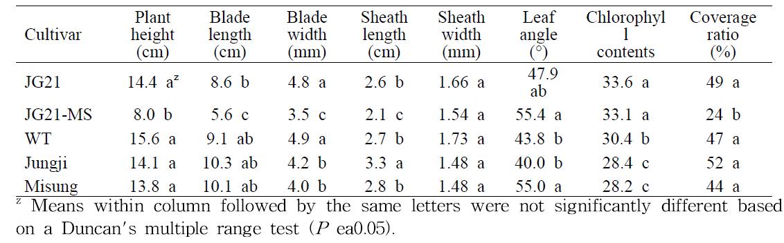 Agronomic characteristics of glufosinate-ammonium resistant zoysiagrass and non-transgenic cultivars grown in Sunghwan.