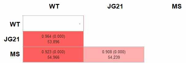 분석된 WT, JG21, MS 사이의 발현량의 유사도. Pearson correlation (r)로 표시