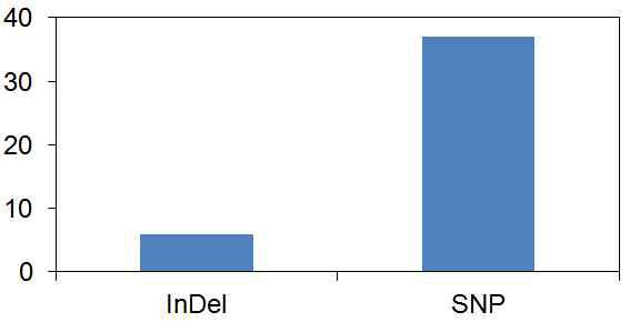 WT, JG21, MS 사이에서 확인된 InDels 및 SNPs 개수