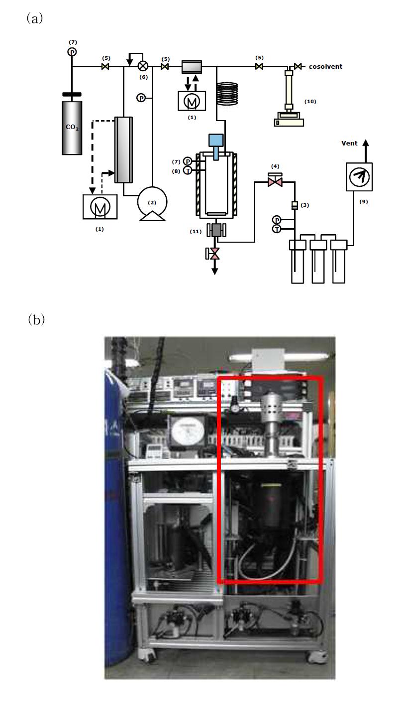 본 연구에서 자체 제작된 초임계 하이브리드 추출 시스템 장치