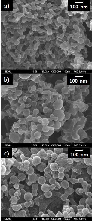 동일 온도(35 C)와 압력(13 MPa)에서 용액의 농도가 입자 제조에 미치는 영향을 나타낸 SEM 사진