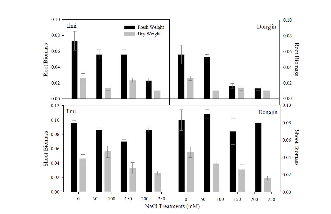다양한 염처리 조건에서 국내 벼의 생체량(Biomass) 분석