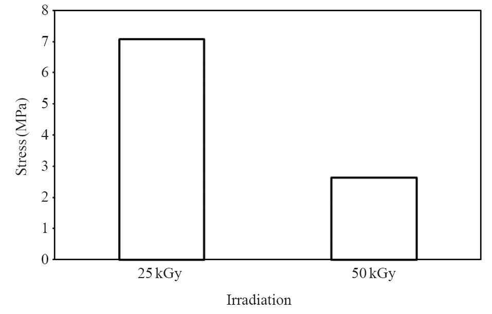 Tensile strength of the gelatin/bacterial cellulose foam (gelatin : citrus gel=1 : 9, irradiation dose; 25 kGy and 50 kGy).