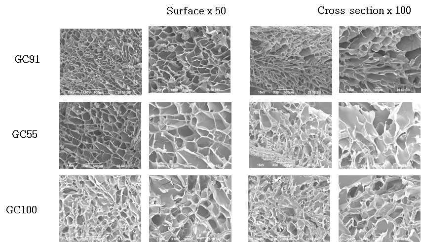 SEM pictures of the gelatin/bacterial cellulose foam (gelatin:citrus gel = 9:1, 5:5, 10:0)