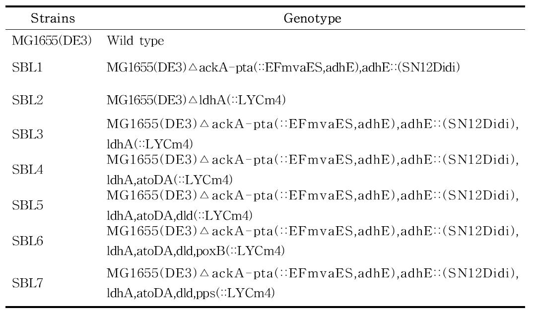 Chromosomal integration strains of Lycopene operon