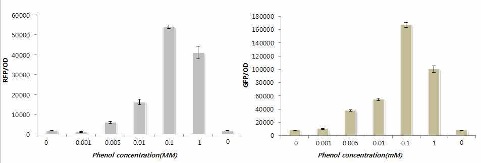 Phenol 농도에 따른 cell-to-cell기반 인공신호전달계의 정량적 분석 결과.