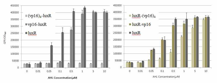 식물 호환성 LuxR Sensitivity Test (AHL Concentration)