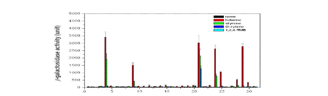 Toluene, stylene, 1,2,4-TMB, O-xylene 1mM의 화합물에 따른 PAS 1 domain mutant library 의 활성 변화 (1: pBBRBB-eGFP, 2: pBBRBB-PtodST, 3: pBBRBB-PAS1D, 4: pBBRBB-proTodST,5~31: 1~27 mutant library).