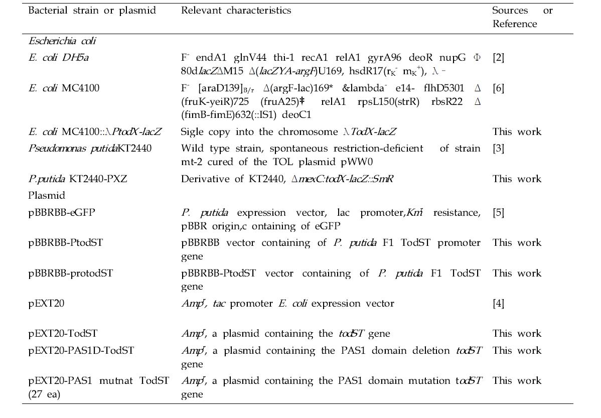 Strains and plasmids used this work