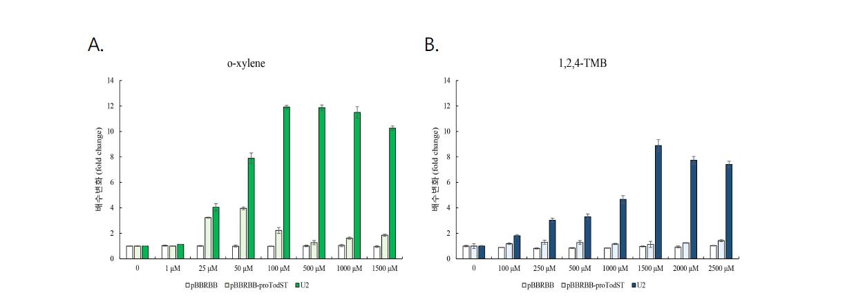 putida KT2440 ΔmexC::PtodX(LS)::sfgfp pBBRBB, pBBRBB-proTodST, 및 U2의 배양액에 화합물