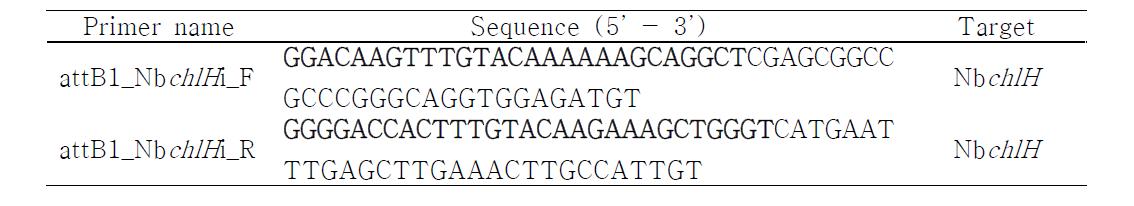 Primer sequence for cloning a part of chlH in N. benthamiana