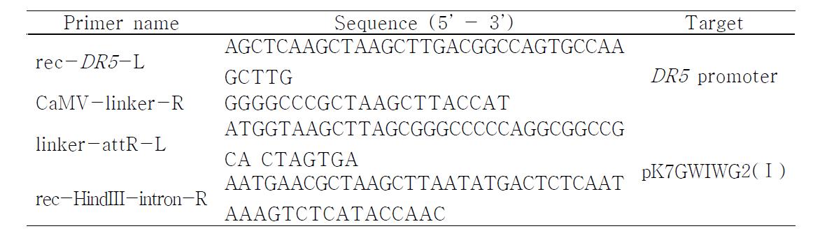 Primer sequence for cloning a part of DR5 and intron