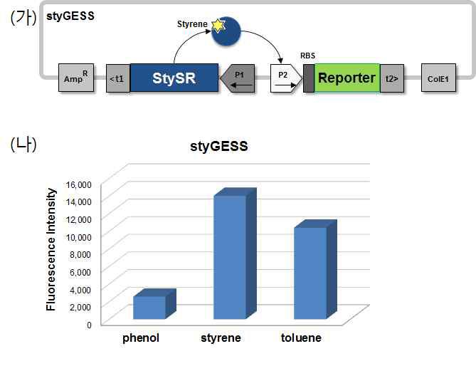 Styrene 감지 styGESS의 구조(가)와 미생물에서의 구동 검증결과.