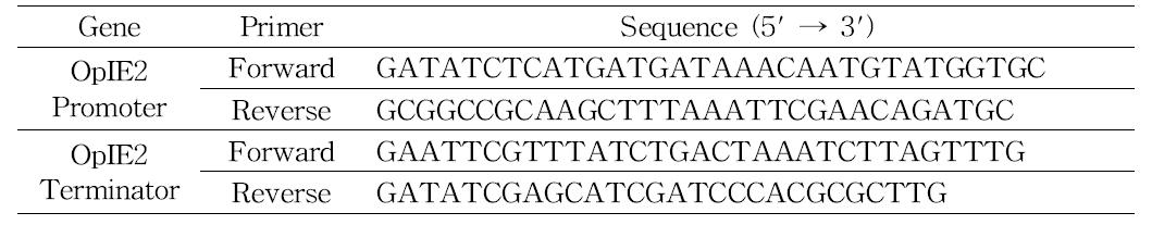 OpIE2 promoter 및 OpIE2 terminator DNA 절편을 증폭시키기 위한 PCR primer.