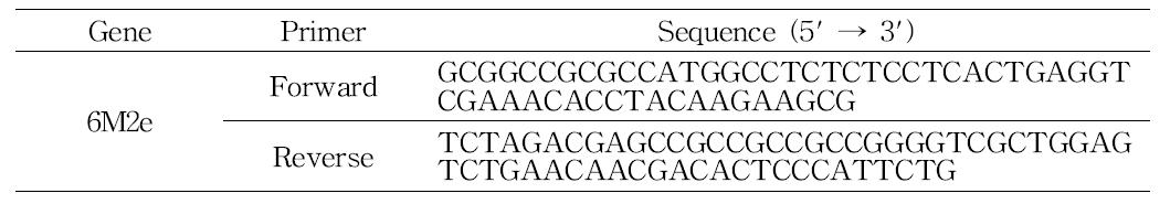 6M2e DNA 절편을 증폭시키기 위한 PCR primer.