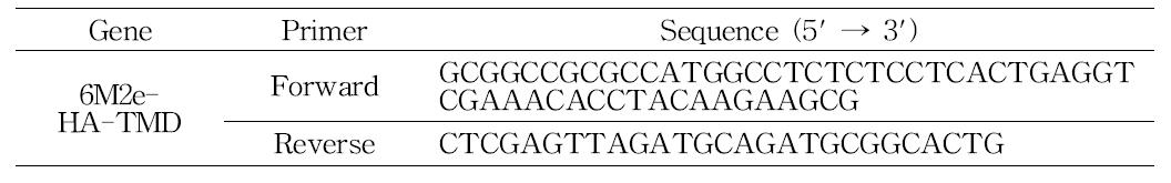 6M2e-HA-TMD DNA 절편을 증폭시키기 위한 PCR primer.