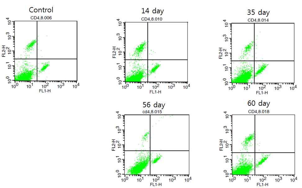 인플루엔자 바이러스 M2 항원단백질에 의해 면역반응이 생성된 마우스 비장에서의 CD4/CD8 변화.