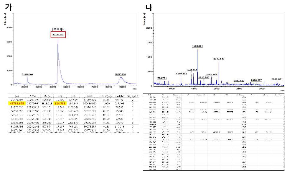 Agb0102(나)와 미생물 유래 RS 단백질(가)의 펩타이드 질량 분석.