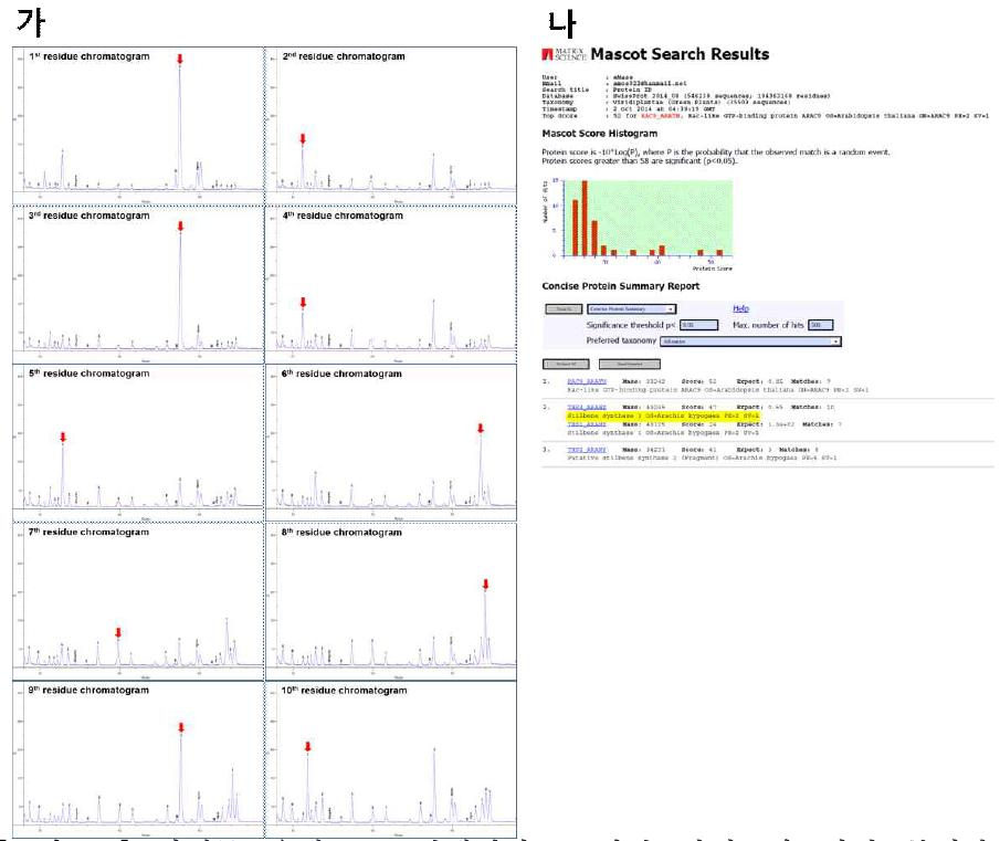 미생물 유래 RS 단백질의 N-말단 아미노산 서열 분석과 Agb0102 RS 단백질의 peptide ID 분석.