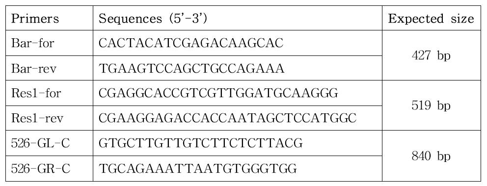 도입유전자 증촉에 사용된 프라이머의 염기서열 및 산물의 크기