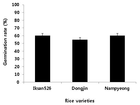 Comparison of bacterial grain rot incidence between transgenic and non-transgenic rice plants.