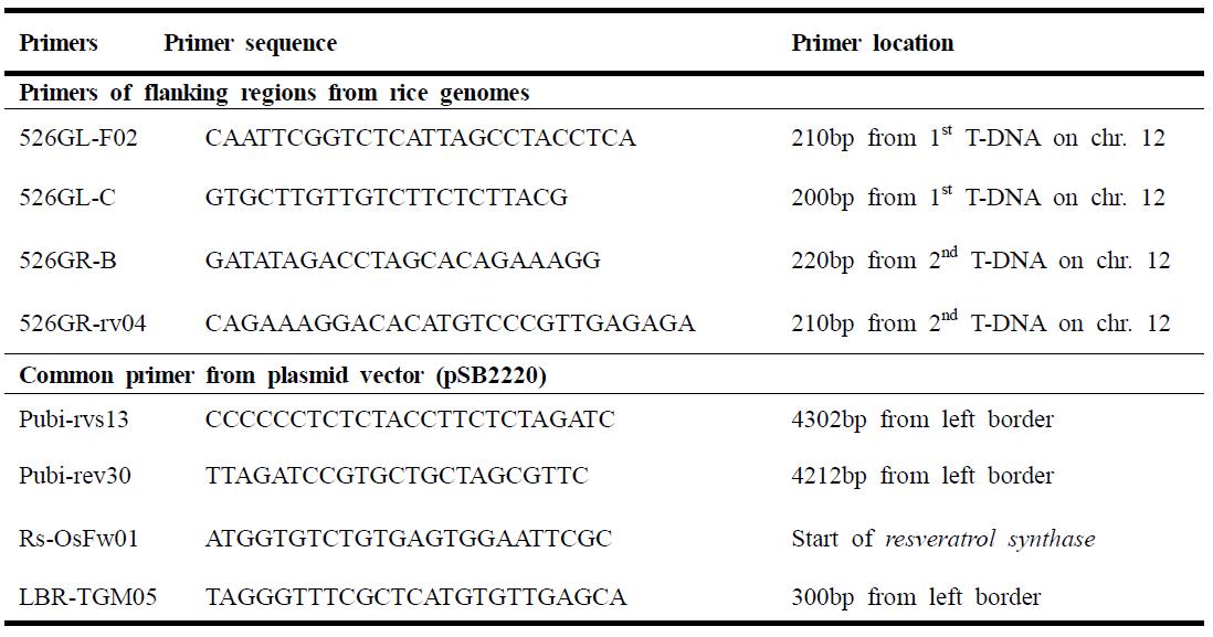 T-DNA 삽입된 구조를 확인하기 위한 LA PCR에 필요한 primer 정보