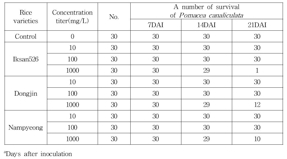 Effect of the rice varieties on survival of Pomacea canaliculata days after ingestion