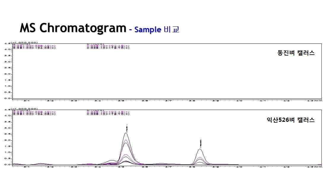 고체배지에서 유도된 동진벼와 익산526 벼 캘러스의 레스베라트롤 함량 측정 MS Chromatogram