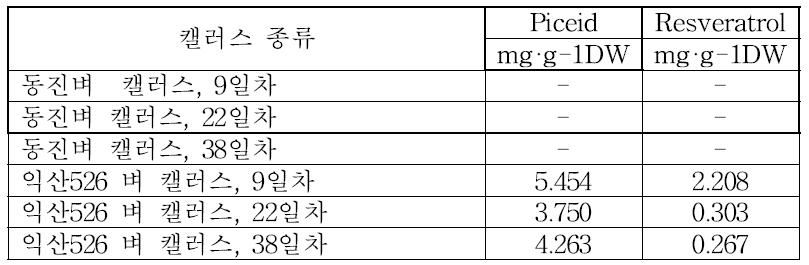 고체배지에서 유도된 동진벼와 익산526 벼 캘러스의 시기별 레스베라트롤 함량 측정 결과