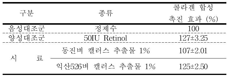 레스베라트롤 생합성 벼 캘러스 추출물의 항주름 효과 시험