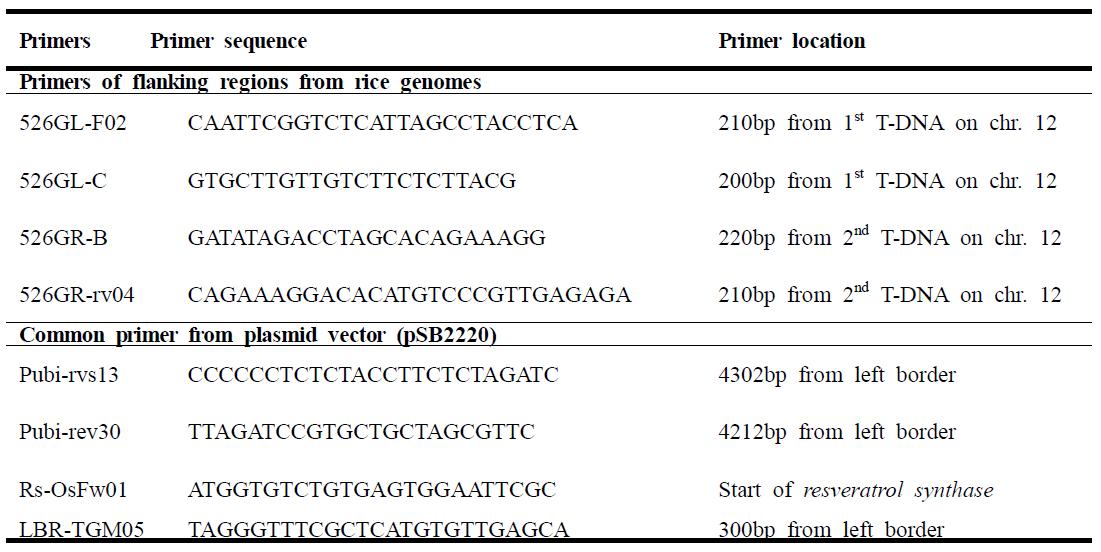 T-DNA 삽입된 구조를 확인하기 위한 LA PCR에 필요한 primer 정보