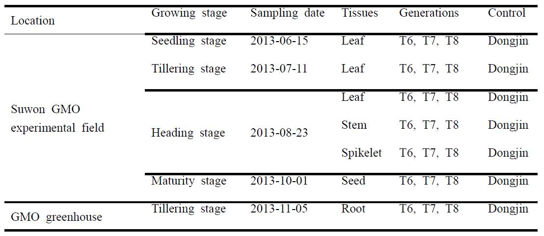 생장시기별, 조직부위별 발현분석을 필요한 시료 sampling 리스트