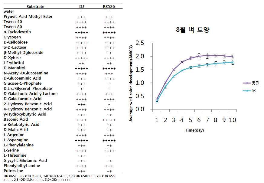 8월 동진벼와 레스베라트롤벼 토양의 5일 후 기질이용도