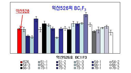 Real-time PCR을 이용한 익산526 여교배 BC F 계통의 유전자 발현분석
