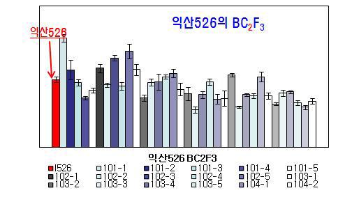 Real-time PCR을 이용한 익산526 여교배 BC F 계통의 유전자 발현분석