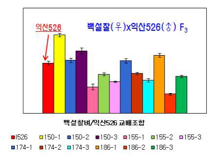 Real-time PCR을 이용한 백설찰벼/익산526 후대계통의 유전자 발현분석