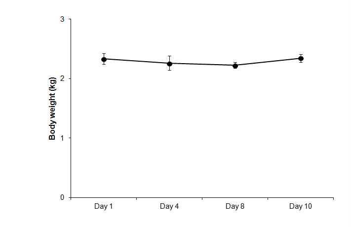 정제봉독 처리 후 토끼 체중변화