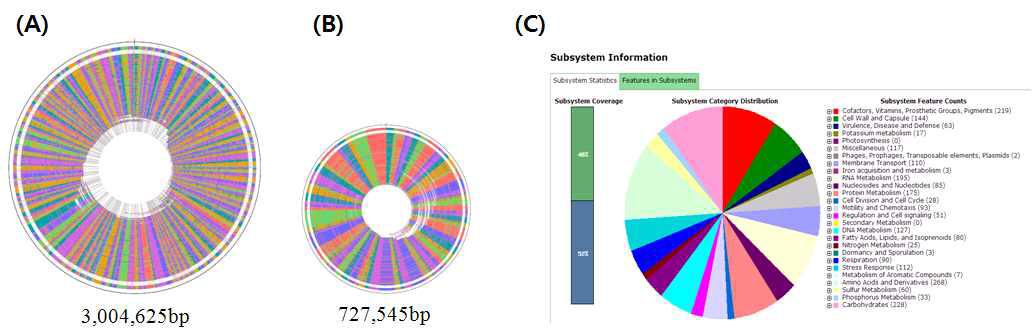 Genome sequencing of Gayadomonas jooiniege G7.