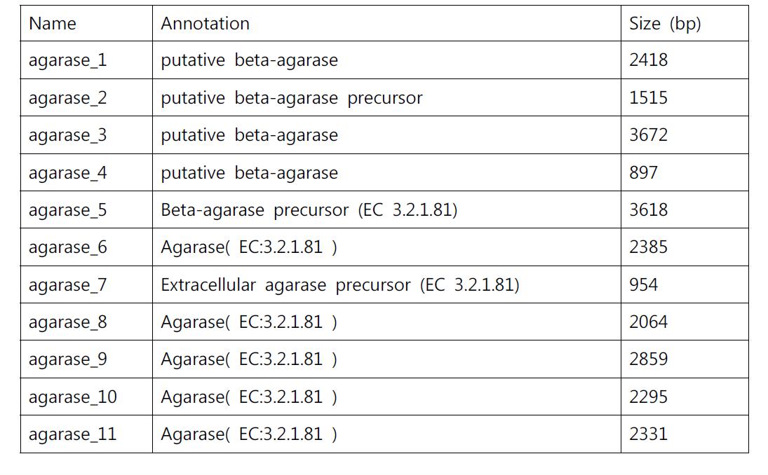 Agarase coding genes of strain G7