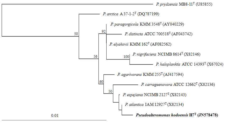 Neighbour-joining phylogenetic tree of Pseudoalteormonas hodoensis H7 based on 16S rRNA gene sequence.