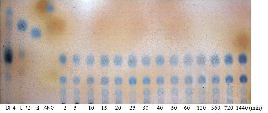 Thin layer chromatography analysis of the agarose hydrolysate depending on reaction time.