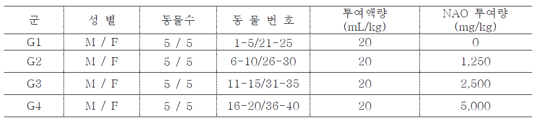 SD 랫드를 이용한 단회 경구 투여 독성 시험군 구성