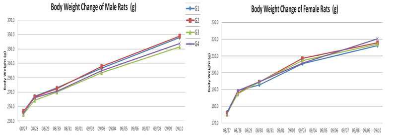 수컷, 암컷 랫드의 체중변화(단회 경구 투여 독성 시험)