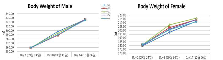 수컷, 암컷 랫드의 체중변화(2주간 반복 경구 투여 독성 시험)