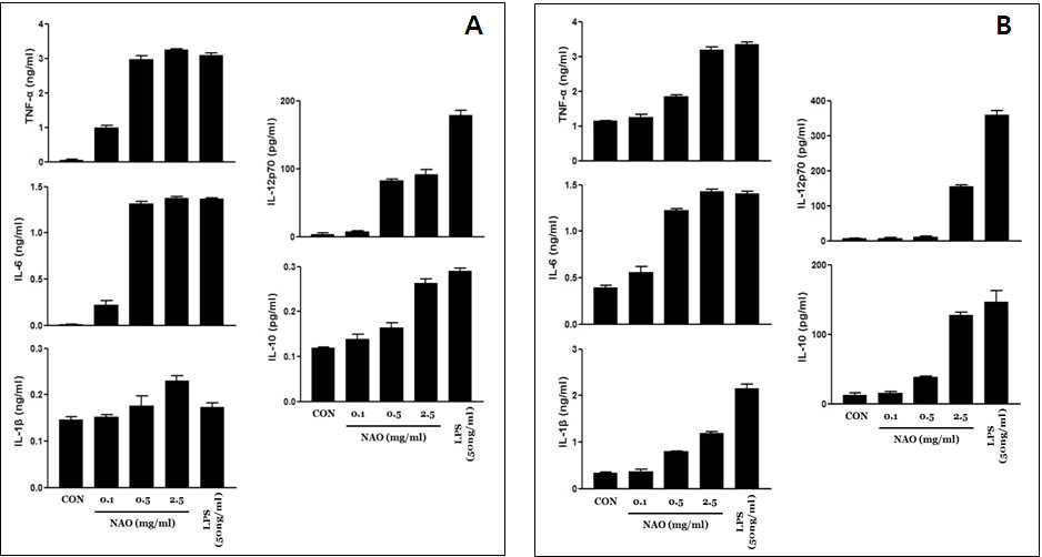 마우스 골수유래 대식세포(A) 및 수지상세포(B)에 NAO 처리시 면역증강 효능