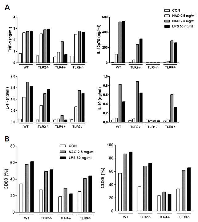 TLR2, TLR4, TLR9 결손 마우스에 NAO 처리시 사이토카인 발현량(A)과 표면단백질 인자 발현량(B)